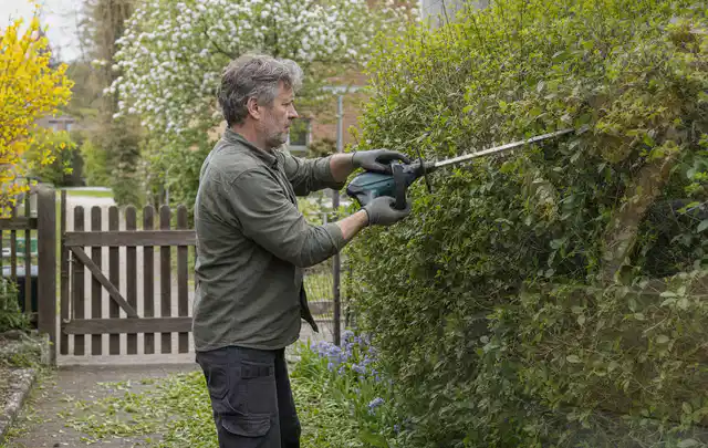 Person schneidet eine Gartenhecke mit einem motorisierten Gartengerät; Thema Akku Gartengeräte, Schwerpunkt Anwendung; Ergebnis.