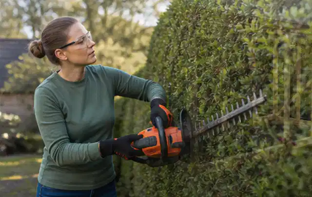 Person schneidet eine dichte Gartenhecke mit Schutzbrille und sicherem Stand; Thema Akku Gartengeräte, Schwerpunkt Anwendung; Praxisalltag.