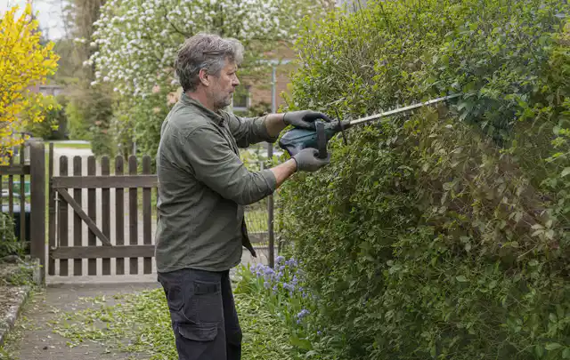 Person schneidet eine Gartenhecke mit einem motorisierten Gartengerät; Thema Akku Gartengeräte, Schwerpunkt Bestenliste; Ausgangslage.