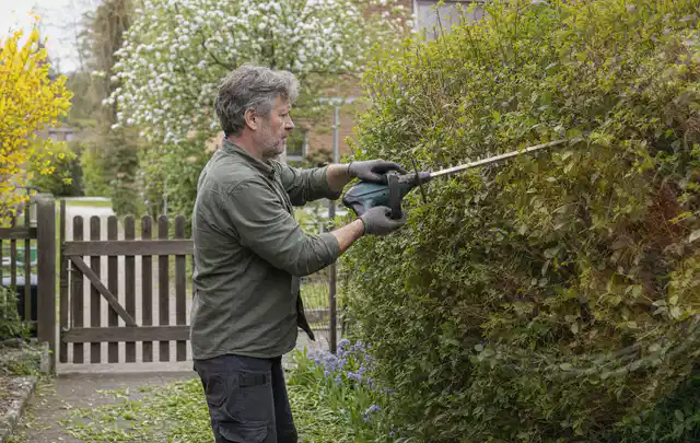 Person schneidet eine Gartenhecke mit einem motorisierten Gartengerät; Thema Akku Gartengeräte, Schwerpunkt Checkliste; Umsetzung.