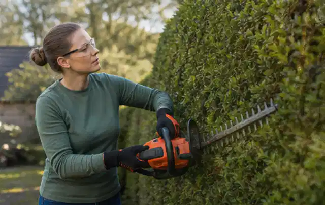 Person schneidet eine dichte Gartenhecke mit Schutzbrille und sicherem Stand; Thema Akku Gartengeräte, Schwerpunkt Ersatzteile; Ausgangslage.