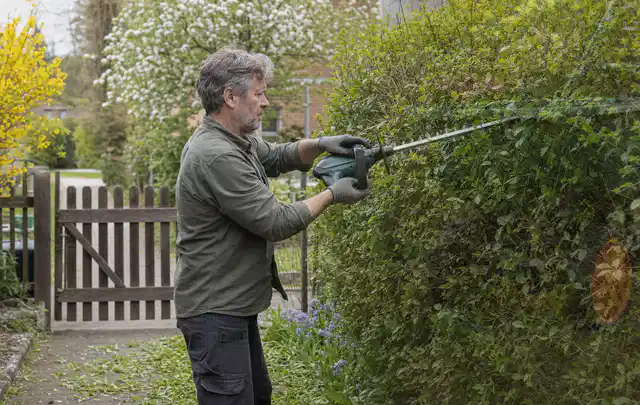 Person schneidet eine Gartenhecke mit einem motorisierten Gartengerät; Thema Akku Gartengeräte, Schwerpunkt Ersatzteile; Umsetzung.