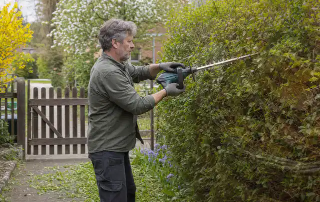 Person schneidet eine Gartenhecke mit einem motorisierten Gartengerät; Thema Akku Gartengeräte, Schwerpunkt Fehlerhilfe; Ausgangslage.