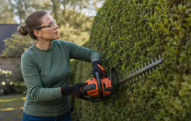 Person schneidet eine dichte Gartenhecke mit Schutzbrille und sicherem Stand; Thema Akku Gartengeräte, Schwerpunkt Fehlerhilfe; Umsetzung.