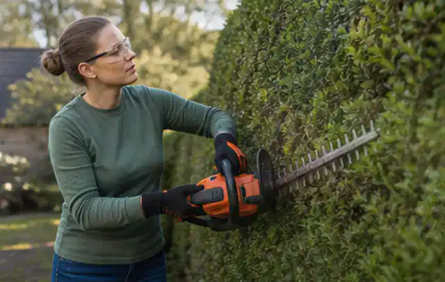 Person schneidet eine dichte Gartenhecke mit Schutzbrille und sicherem Stand; Thema Akku Gartengeräte, Schwerpunkt Gärten mit kleiner Fläche; Kontrolle.