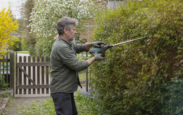 Person schneidet eine Gartenhecke mit einem motorisierten Gartengerät; Thema Akku Gartengeräte, Schwerpunkt Gärten mit kleiner Fläche; Praxisalltag.