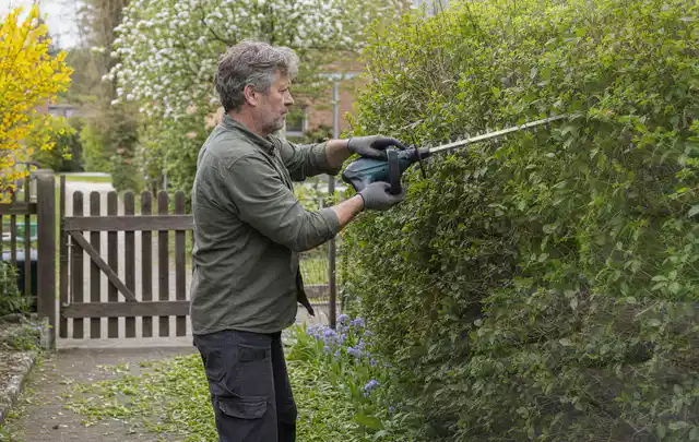 Person schneidet eine Gartenhecke mit einem motorisierten Gartengerät; Thema Akku Gartengeräte, Schwerpunkt Gartengeräte; Ergebnis.