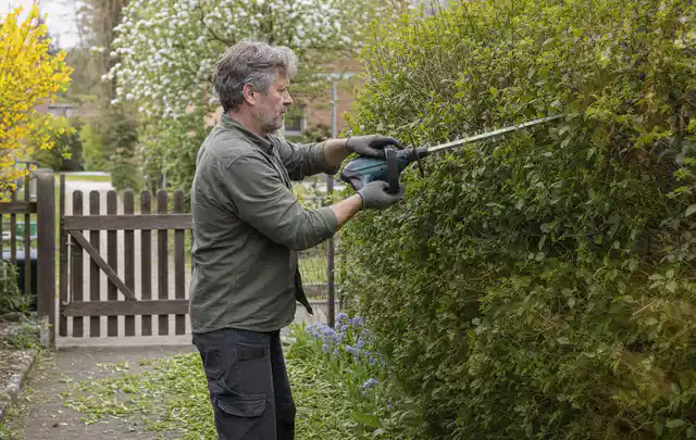 Person schneidet eine Gartenhecke mit einem motorisierten Gartengerät; Thema Akku Gartengeräte, Schwerpunkt Kaufberatung; Kontrolle.