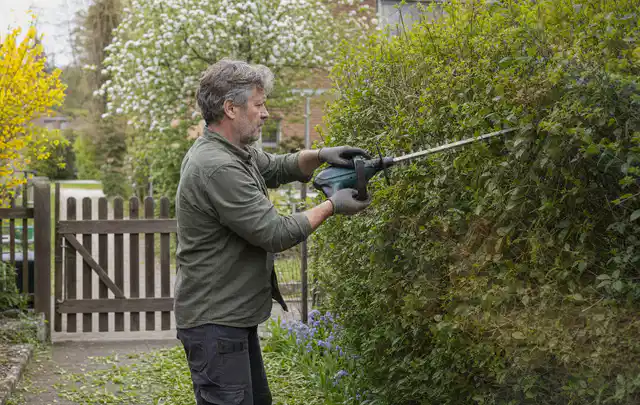 Person schneidet eine Gartenhecke mit einem motorisierten Gartengerät; Thema Akku Gartengeräte, Schwerpunkt Kosten; Umsetzung.