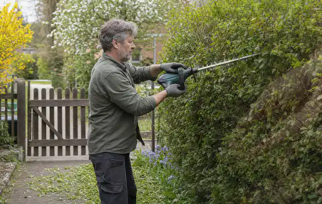 Person schneidet eine Gartenhecke mit einem motorisierten Gartengerät; Thema Akku Gartengeräte, Schwerpunkt Leistung; Umsetzung.