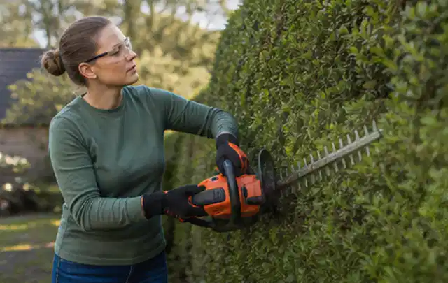 Person schneidet eine dichte Gartenhecke mit Schutzbrille und sicherem Stand; Thema Akku Gartengeräte, Schwerpunkt Nachhaltigkeit; Ausgangslage.