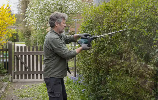 Person schneidet eine Gartenhecke mit einem motorisierten Gartengerät; Thema Akku Gartengeräte, Schwerpunkt Nachhaltigkeit; Umsetzung.