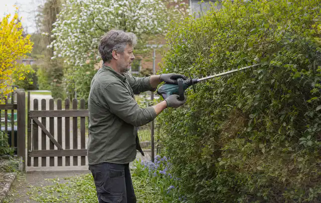 Person schneidet eine Gartenhecke mit einem motorisierten Gartengerät; Thema Akku Gartengeräte, Schwerpunkt Reinigung; Praxisalltag.