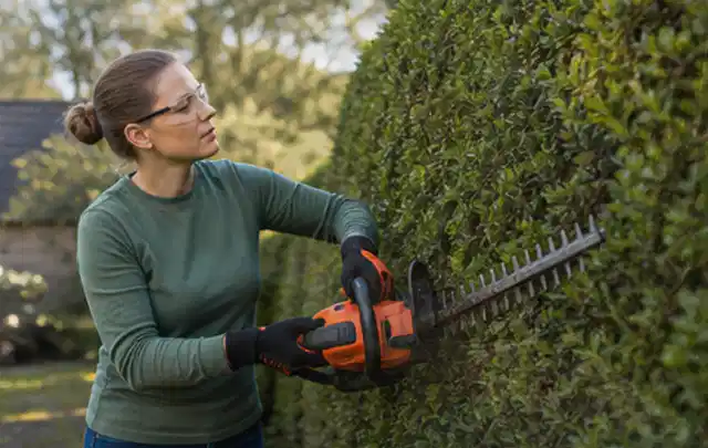 Person schneidet eine dichte Gartenhecke mit Schutzbrille und sicherem Stand; Thema Akku Gartengeräte, Schwerpunkt Reparatur; Umsetzung.
