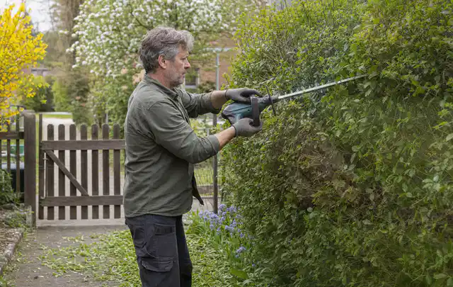 Person schneidet eine Gartenhecke mit einem motorisierten Gartengerät; Thema Akku Gartengeräte, Schwerpunkt Reparatur; Praxisalltag.