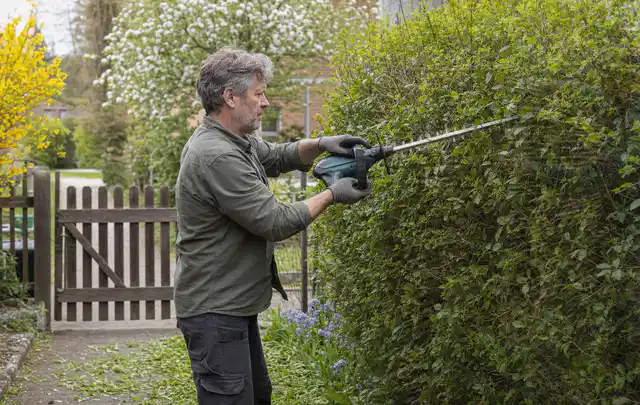 Person schneidet eine Gartenhecke mit einem motorisierten Gartengerät; Thema Akku Gartengeräte, Schwerpunkt Sicherheit; Ausgangslage.