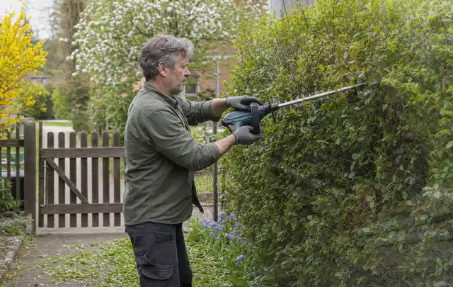 Person schneidet eine Gartenhecke mit einem motorisierten Gartengerät; Thema Akku Gartengeräte, Schwerpunkt Systemvergleich; Kontrolle.