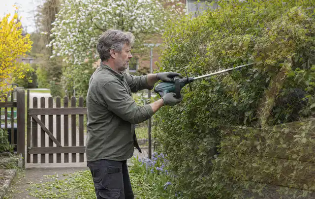 Person schneidet eine Gartenhecke mit einem motorisierten Gartengerät; Thema Akku Gartengeräte, Schwerpunkt Testkriterien; Kontrolle.