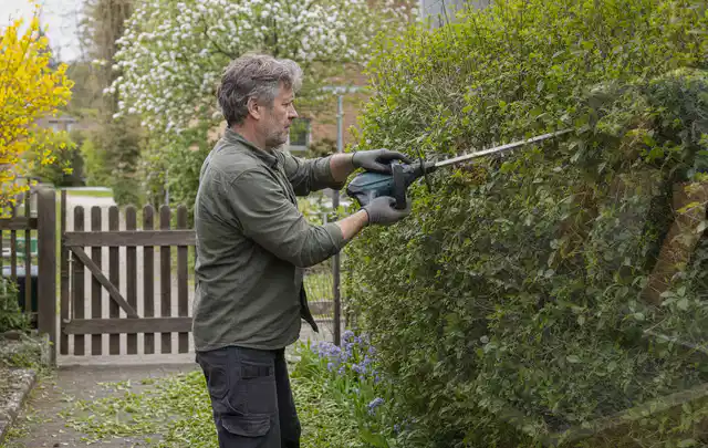Person schneidet eine Gartenhecke mit einem motorisierten Gartengerät; Thema Akku Gartengeräte, Schwerpunkt Vergleich; Kontrolle.