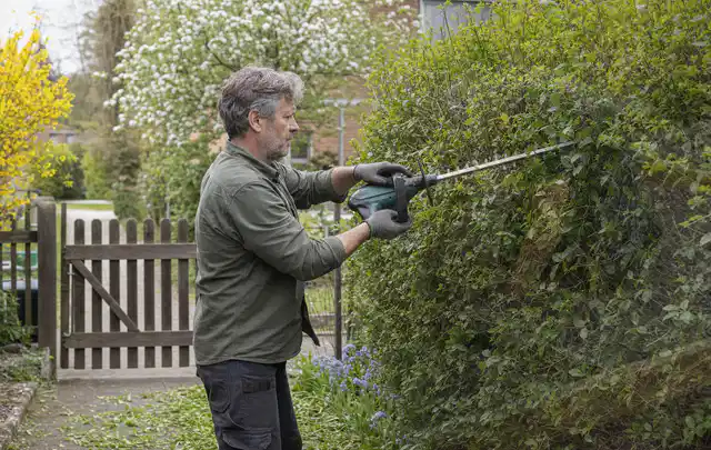 Person schneidet eine Gartenhecke mit einem motorisierten Gartengerät; Thema Akku Gartengeräte, Schwerpunkt Wartung; Ausgangslage.