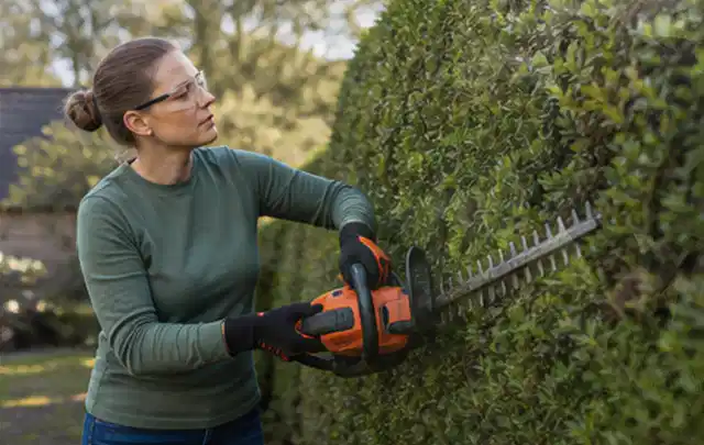 Person schneidet eine dichte Gartenhecke mit Schutzbrille und sicherem Stand; Thema Akku Gartengeräte, Schwerpunkt Wartung; Ergebnis.