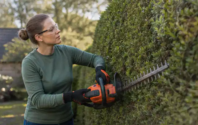 Person schneidet eine dichte Gartenhecke mit Schutzbrille und sicherem Stand; Thema Akku Gartengeräte, Schwerpunkt Winterlager; Kontrolle.