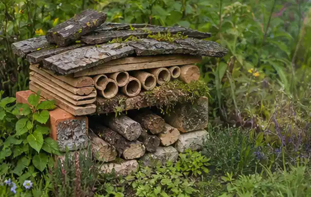 Naturnaher Unterschlupf aus Holz Rinde und Pflanzenstängeln im Garten; Thema Ameisen, Schwerpunkt Bestimmung; Praxisalltag.