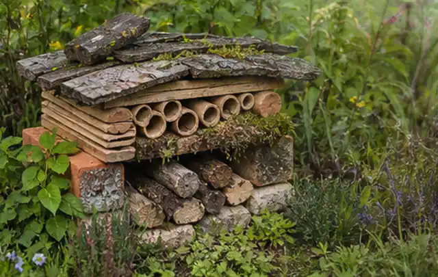 Naturnaher Unterschlupf aus Holz Rinde und Pflanzenstängeln im Garten; Thema Ameisen, Schwerpunkt Hausmittel; Praxisalltag.