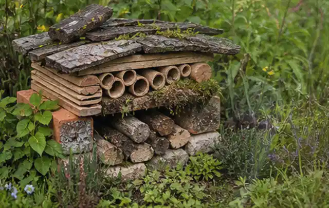 Naturnaher Unterschlupf aus Holz Rinde und Pflanzenstängeln im Garten; Thema Ameisen, Schwerpunkt Schadbild; Ausgangslage.