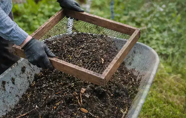 Behandschuhte Hände sieben reifen Kompost über einer Gartenschubkarre; Thema Anlehngewächshaus, Schwerpunkt Aufbau; Umsetzung.