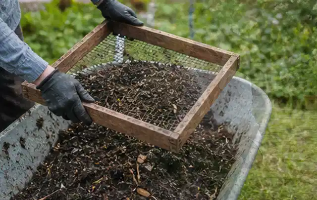 Behandschuhte Hände sieben reifen Kompost über einer Gartenschubkarre; Thema Anlehngewächshaus, Schwerpunkt Baurecht; Umsetzung.
