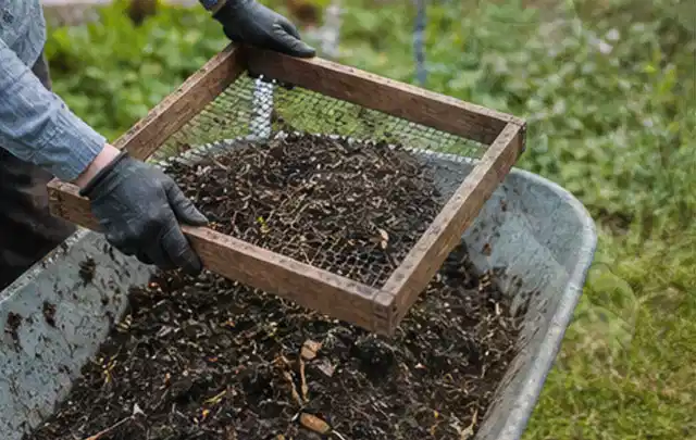 Behandschuhte Hände sieben reifen Kompost über einer Gartenschubkarre; Thema Anlehngewächshaus, Schwerpunkt DIY; Kontrolle.