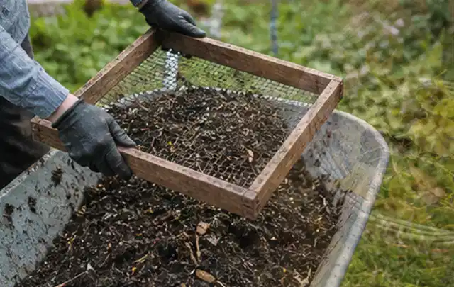 Behandschuhte Hände sieben reifen Kompost über einer Gartenschubkarre; Thema Anlehngewächshaus, Schwerpunkt Fehlerhilfe; Ergebnis.