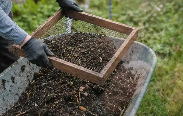 Behandschuhte Hände sieben reifen Kompost über einer Gartenschubkarre; Thema Anlehngewächshaus, Schwerpunkt Fundament; Umsetzung.