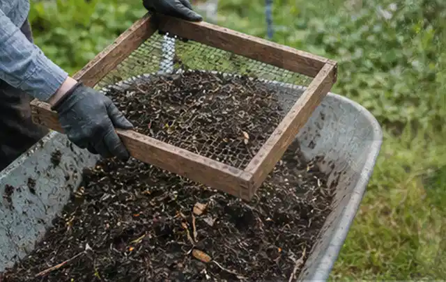 Behandschuhte Hände sieben reifen Kompost über einer Gartenschubkarre; Thema Anlehngewächshaus, Schwerpunkt Gärten mit kleiner Fläche; Umsetzung.