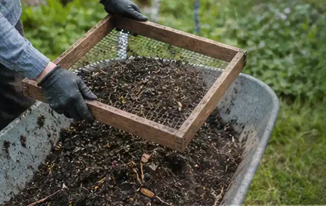 Behandschuhte Hände sieben reifen Kompost über einer Gartenschubkarre; Thema Anlehngewächshaus, Schwerpunkt Gestaltung; Praxisalltag.