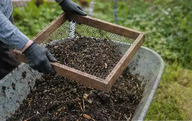 Behandschuhte Hände sieben reifen Kompost über einer Gartenschubkarre; Thema Anlehngewächshaus, Schwerpunkt Materialwahl; Umsetzung.