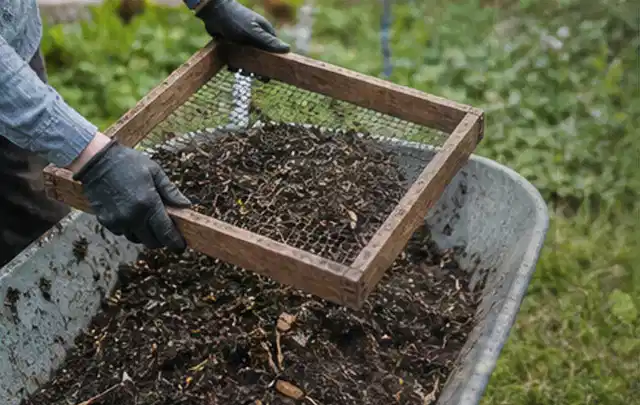 Behandschuhte Hände sieben reifen Kompost über einer Gartenschubkarre; Thema Apfelbäume, Schwerpunkt Einsteigerwissen; Praxisalltag.