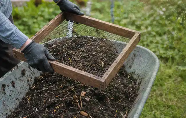 Behandschuhte Hände sieben reifen Kompost über einer Gartenschubkarre; Thema Apfelbäume, Schwerpunkt Ernteprobleme; Umsetzung.