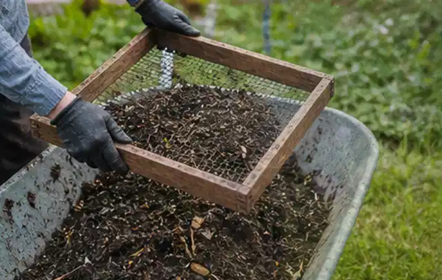 Behandschuhte Hände sieben reifen Kompost über einer Gartenschubkarre; Thema Apfelbäume, Schwerpunkt Gesundheit; Ausgangslage.