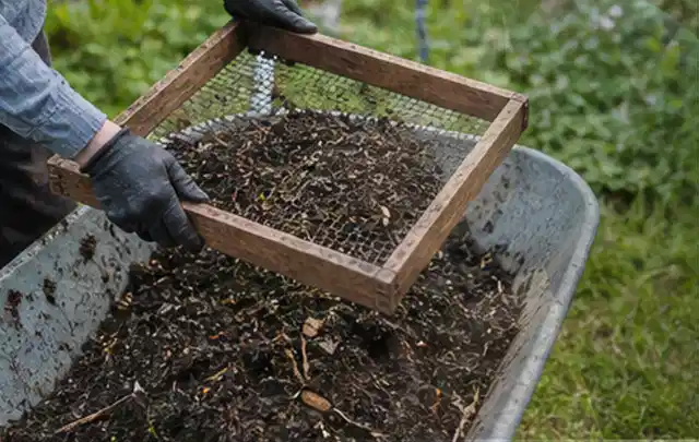 Behandschuhte Hände sieben reifen Kompost über einer Gartenschubkarre; Thema Apfelbäume, Schwerpunkt Pflanzenschutz; Praxisalltag.