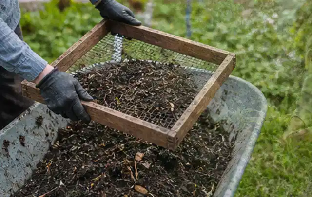 Behandschuhte Hände sieben reifen Kompost über einer Gartenschubkarre; Thema Apfelbäume, Schwerpunkt Saisonkalender; Praxisalltag.
