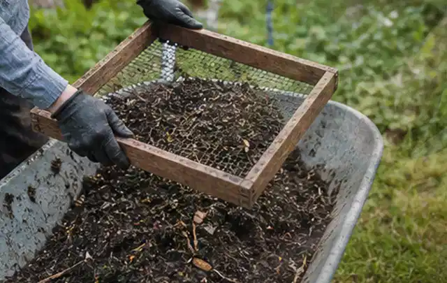 Behandschuhte Hände sieben reifen Kompost über einer Gartenschubkarre; Thema Aprikosen, Schwerpunkt Balkongarten; Ausgangslage.