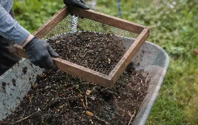 Behandschuhte Hände sieben reifen Kompost über einer Gartenschubkarre; Thema Aprikosen, Schwerpunkt Einsteigerwissen; Praxisalltag.