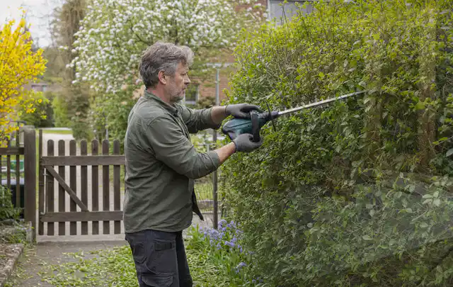 Person schneidet eine Gartenhecke mit einem motorisierten Gartengerät; Thema Astscheren, Schwerpunkt Anwendung; Ausgangslage.
