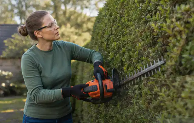 Person schneidet eine dichte Gartenhecke mit Schutzbrille und sicherem Stand; Thema Astscheren, Schwerpunkt Bestenliste; Praxisalltag.