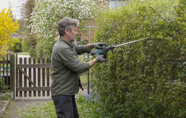 Person schneidet eine Gartenhecke mit einem motorisierten Gartengerät; Thema Astscheren, Schwerpunkt Checkliste; Umsetzung.