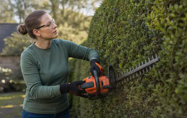 Person schneidet eine dichte Gartenhecke mit Schutzbrille und sicherem Stand; Thema Astscheren, Schwerpunkt Checkliste; Praxisalltag.