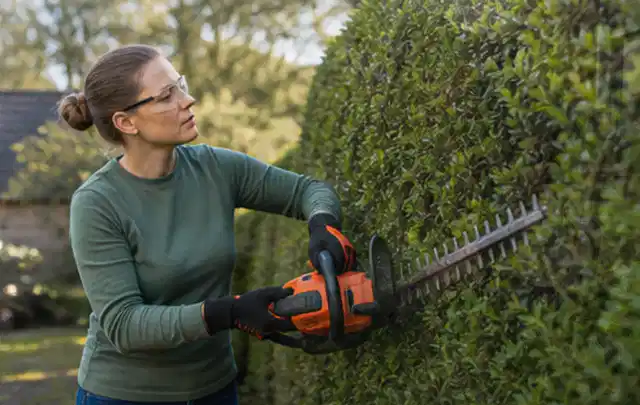 Person schneidet eine dichte Gartenhecke mit Schutzbrille und sicherem Stand; Thema Astscheren, Schwerpunkt Ersatzteile; Ausgangslage.
