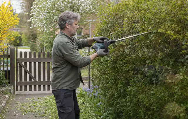 Person schneidet eine Gartenhecke mit einem motorisierten Gartengerät; Thema Astscheren, Schwerpunkt Ersatzteile; Praxisalltag.